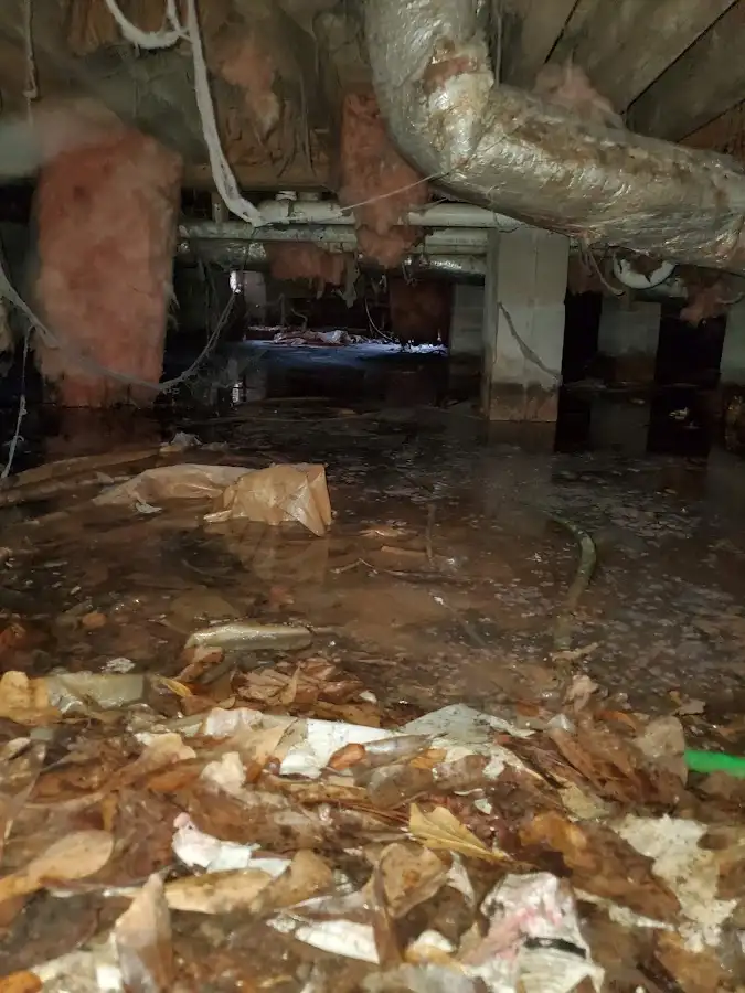 Crawl space flood assessment for Leak Detection & Repair in Cudahy